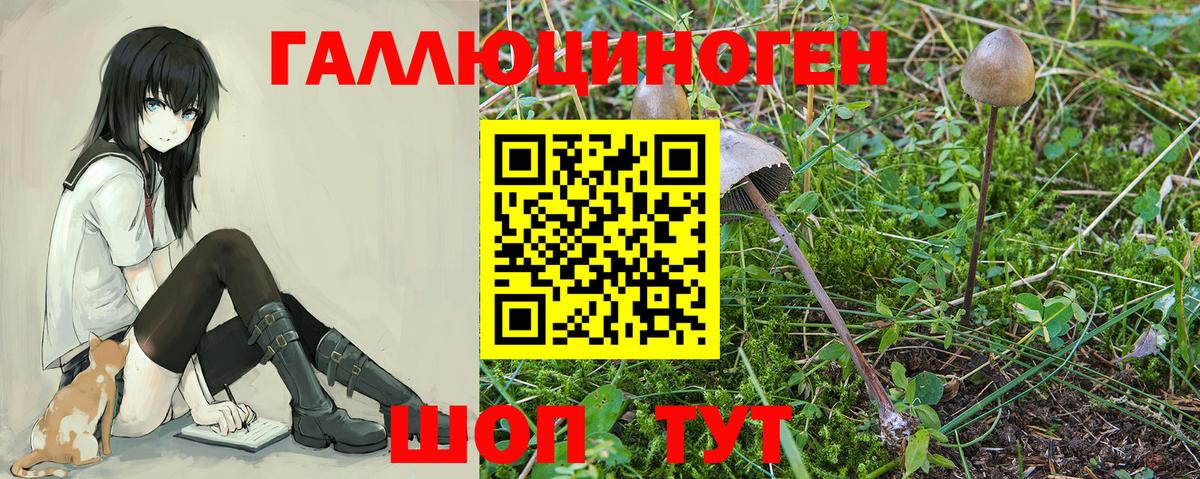 ГАШ  МДМА  МЕФ   КОКАИН  Ирбит  Бошки Шишки  A PVP СК   Вход с VPN 
