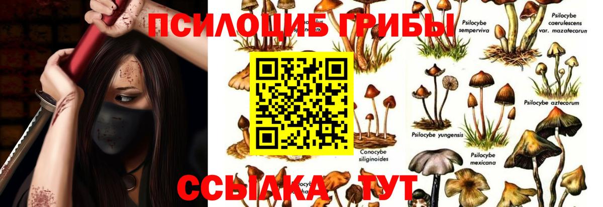 где купить наркотик  Псилоцибиновые грибы прущие грибы  Галлюциногенные грибы прущие грибы  Вход с VPN  Ирбит 